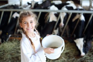 Farm food bucket for cows 